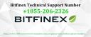 contact on Bitfinex suppot phone number logo